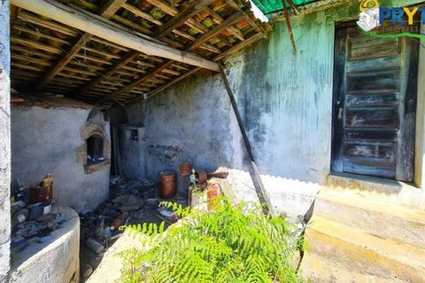 Farm i Serta, Castelo Branco, Serta - € 65.000 | Ref: AS139 - foto 10