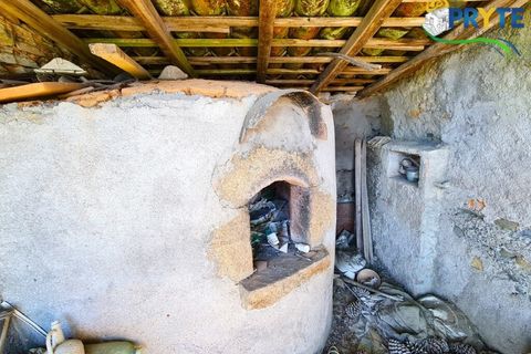 Farm i Serta, Castelo Branco, Serta - € 65.000 | Ref: AS139 - foto 11