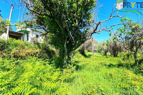 Farm i Serta, Castelo Branco, Serta - € 65.000 | Ref: AS139 - foto 14