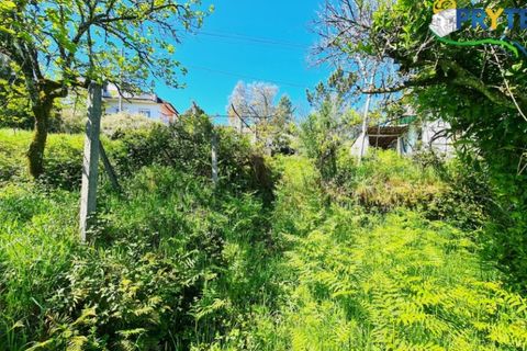 Farm i Serta, Castelo Branco, Serta - € 65.000 | Ref: AS139 - foto 15