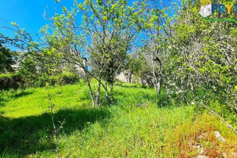Farm i Serta, Castelo Branco, Serta - € 65.000 | Ref: AS139 - foto 16