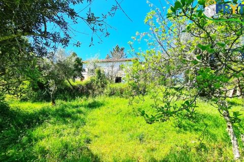 Farm i Serta, Castelo Branco, Serta - € 65.000 | Ref: AS139 - foto 17
