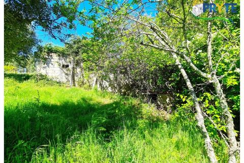 Farm i Serta, Castelo Branco, Serta - € 65.000 | Ref: AS139 - foto 18