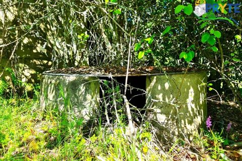 Farm i Serta, Castelo Branco, Serta - € 65.000 | Ref: AS139 - foto 19