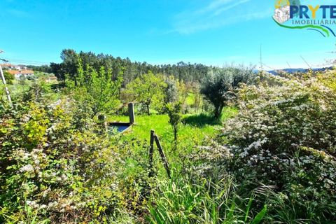 Farm i Serta, Castelo Branco, Serta - € 65.000 | Ref: AS139 - foto 20