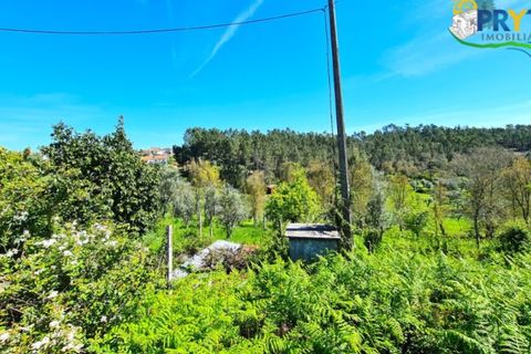 Farm i Serta, Castelo Branco, Serta - € 65.000 | Ref: AS139 - foto 21