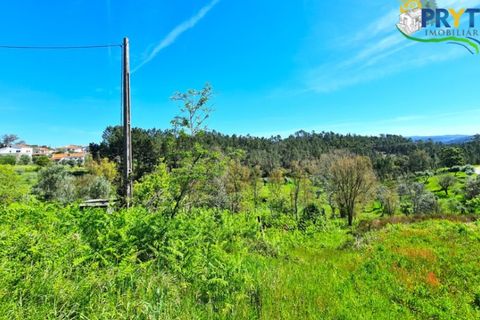 Farm i Serta, Castelo Branco, Serta - € 65.000 | Ref: AS139 - foto 22