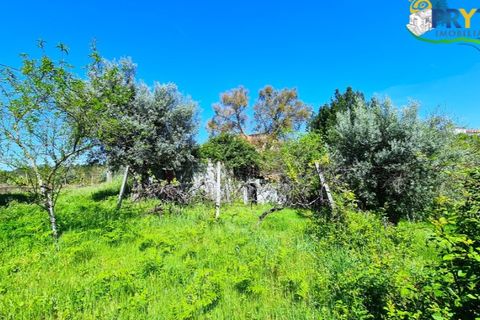 Farm i Serta, Castelo Branco, Serta - € 65.000 | Ref: AS139 - foto 23