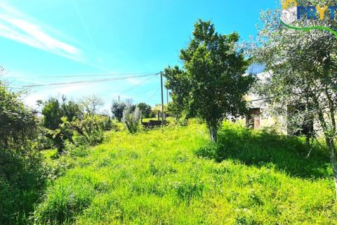 Farm i Serta, Castelo Branco, Serta - € 65.000 | Ref: AS139 - foto 24
