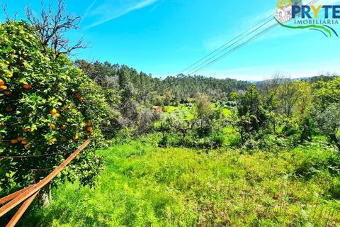 Farm i Serta, Castelo Branco, Serta - € 65.000 | Ref: AS139 - foto 25