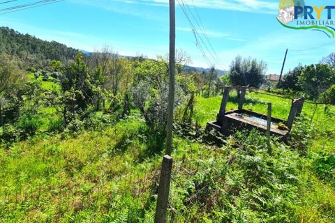 Farm i Serta, Castelo Branco, Serta - € 65.000 | Ref: AS139 - foto 26