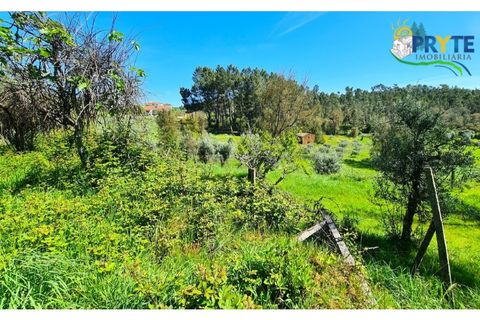 Farm i Serta, Castelo Branco, Serta - € 65.000 | Ref: AS139 - foto 27