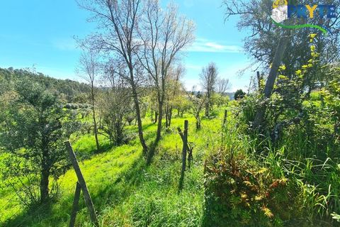 Farm i Serta, Castelo Branco, Serta - € 65.000 | Ref: AS139 - foto 28
