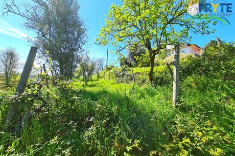 Farm i Serta, Castelo Branco, Serta - € 65.000 | Ref: AS139 - foto 29