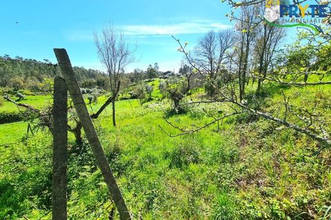 Farm i Serta, Castelo Branco, Serta - € 65.000 | Ref: AS139 - foto 30