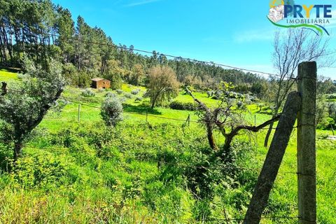 Farm i Serta, Castelo Branco, Serta - € 65.000 | Ref: AS139 - foto 31