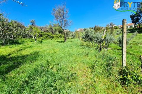 Farm i Serta, Castelo Branco, Serta - € 65.000 | Ref: AS139 - foto 32