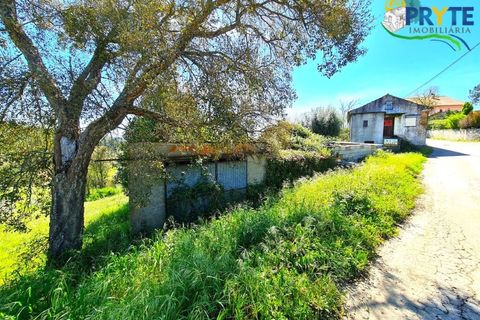 Farm i Serta, Castelo Branco, Serta - € 65.000 | Ref: AS139 - foto 34