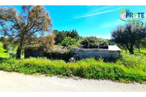 Farm i Serta, Castelo Branco, Serta - € 65.000 | Ref: AS139 - foto 35