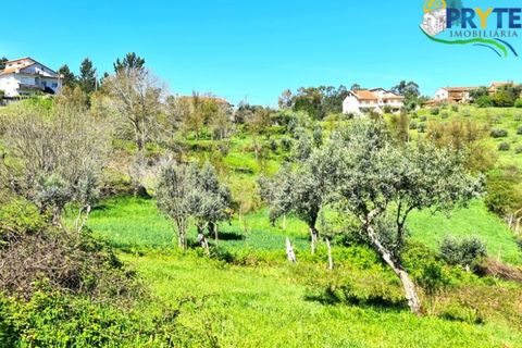 Farm i Serta, Castelo Branco, Serta - € 65.000 | Ref: AS139 - foto 36