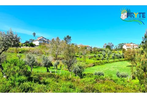 Farm i Serta, Castelo Branco, Serta - € 65.000 | Ref: AS139 - foto 37