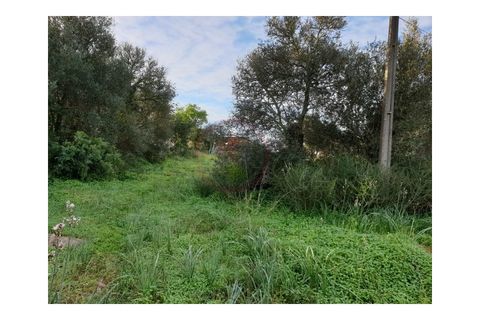 Helårsgrund i Algoz, Faro, Algoz - € 249.500 | Ref: T580 - foto 2