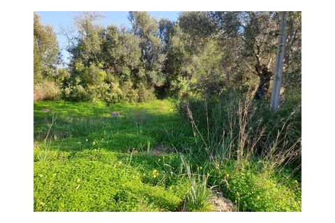 Helårsgrund i Algoz, Faro, Algoz - € 249.500 | Ref: T580 - foto 3