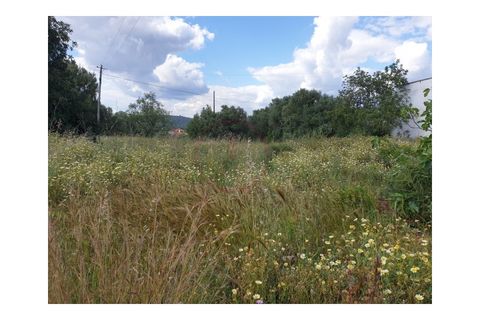 Helårsgrund i Algoz, Faro, Algoz - € 249.500 | Ref: T580 - foto 5