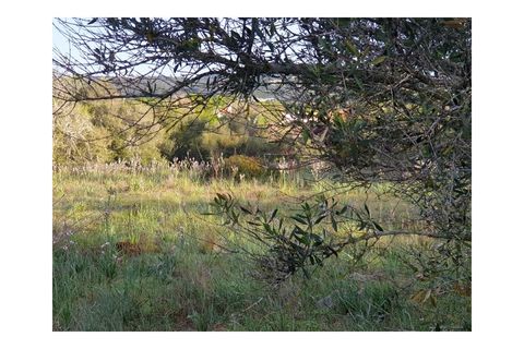 Helårsgrund i Algoz, Faro, Algoz - € 249.500 | Ref: T580 - foto 7