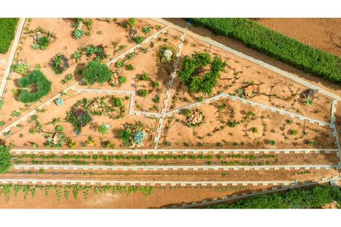 Villa a Conceicao e Estoi, Faro, Conceicao e Estoi - € 2.150.000 | Ref: V2753 - foto 4