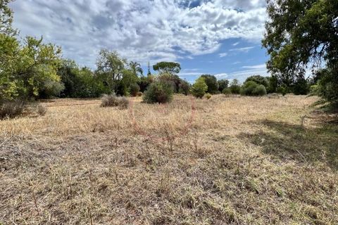 Helårsgrund i Almancil, Faro, Almancil - € 590.000 | Ref: T593 - foto 1