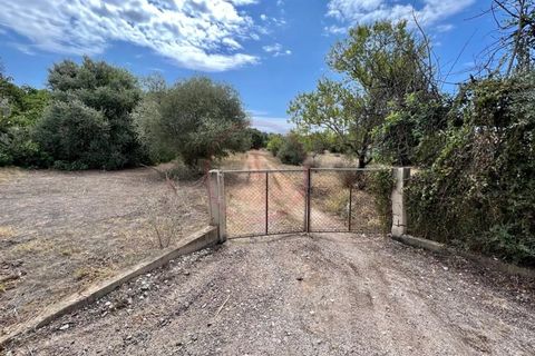 Helårsgrund i Almancil, Faro, Almancil - € 590.000 | Ref: T593 - foto 2