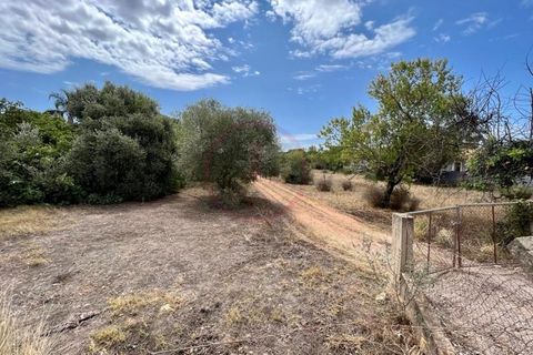 Helårsgrund i Almancil, Faro, Almancil - € 590.000 | Ref: T593 - foto 3