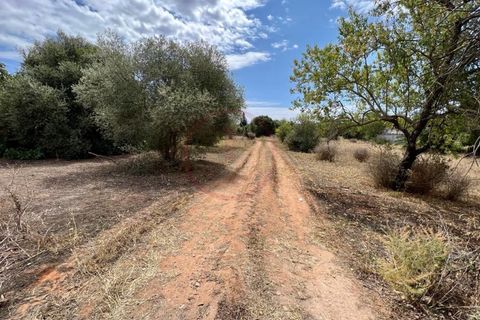 Helårsgrund i Almancil, Faro, Almancil - € 590.000 | Ref: T593 - foto 4