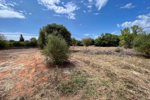 Helårsgrund i Almancil, Faro, Almancil - € 590.000 | Ref: T593 - foto 5