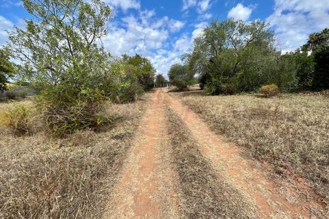 Helårsgrund i Almancil, Faro, Almancil - € 590.000 | Ref: T593 - foto 7