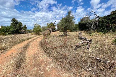 Helårsgrund i Almancil, Faro, Almancil - € 590.000 | Ref: T593 - foto 8