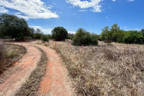 Helårsgrund i Almancil, Faro, Almancil - € 590.000 | Ref: T593 - foto 9