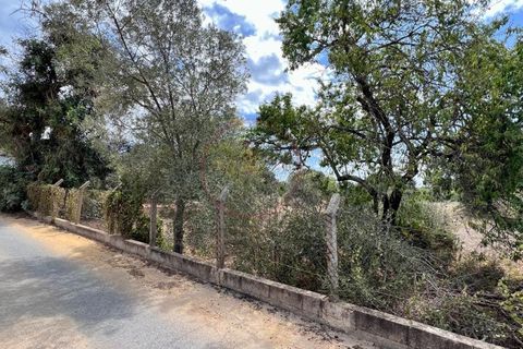 Helårsgrund i Almancil, Faro, Almancil - € 590.000 | Ref: T593 - foto 11