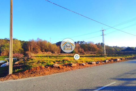 Helårsgrund i Viseu, Viseu, Viseu - € 160.000 | Ref: TC2394 - foto 3