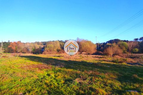 Helårsgrund i Viseu, Viseu, Viseu - € 160.000 | Ref: TC2394 - foto 4