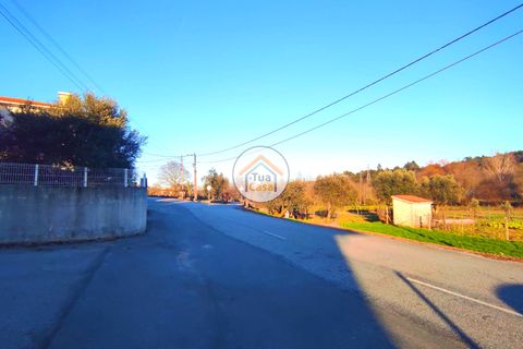 Helårsgrund i Viseu, Viseu, Viseu - € 160.000 | Ref: TC2394 - foto 6