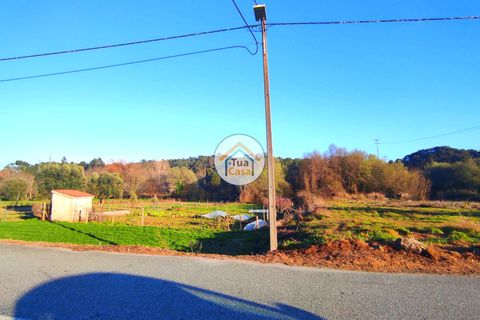 Helårsgrund i Viseu, Viseu, Viseu - € 160.000 | Ref: TC2394 - foto 7