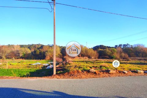Helårsgrund i Viseu, Viseu, Viseu - € 160.000 | Ref: TC2394 - foto 8