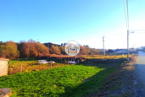 Helårsgrund i Viseu, Viseu, Viseu - € 160.000 | Ref: TC2394 - foto 9