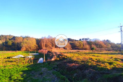 Helårsgrund i Viseu, Viseu, Viseu - € 160.000 | Ref: TC2394 - foto 10