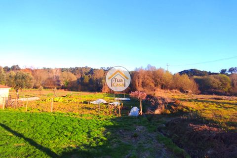 Helårsgrund i Viseu, Viseu, Viseu - € 160.000 | Ref: TC2394 - foto 11