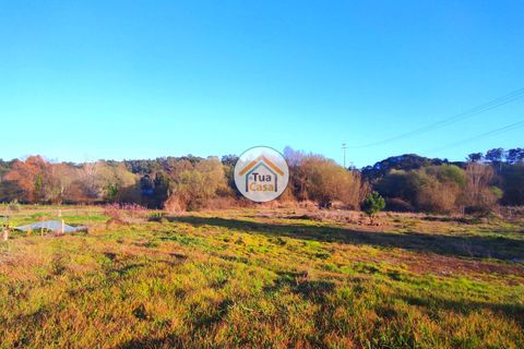Helårsgrund i Viseu, Viseu, Viseu - € 160.000 | Ref: TC2394 - foto 12