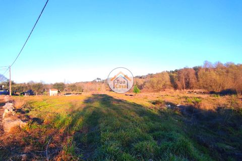 Helårsgrund i Viseu, Viseu, Viseu - € 160.000 | Ref: TC2394 - foto 13