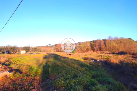 Helårsgrund i Viseu, Viseu, Viseu - € 160.000 | Ref: TC2394 - foto 14